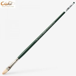 พู่กันสีน้ำมันขนหมู Winsor & Newton Winton แบน ลิ้นแมว(Filbert)