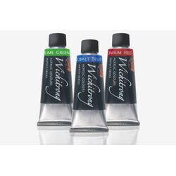 สีอะคริลิควิจิตรรงค์ 60ml