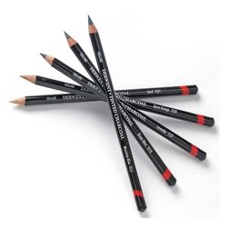 ดินสอสีชาร์โค Derwent Tint Charcoal