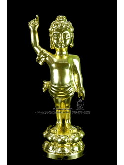 พระพุทธเจ้าน้อย ( ประสูติ) เนื้อโลหะ ปิดทองแท้ทั้งองค์ ขนาด 5 นิ้ว สูง 10 นิ้ว