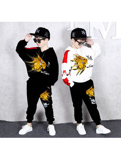 ชุดเต้น ชุดฮิปฮอปแขนยาว ลายสิงห์