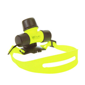 ไฟฉายดำน้ำ