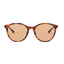 RayBan RB4334D 649293
