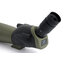 กล้องส่องทางไกล ตาเดียว celestron 20-60x80A