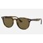 RayBan RB4259F 710/73