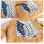 Cosplay (Attrack on Titan) jacket 01