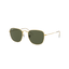 RayBan RB3857 919658 FRANK