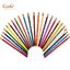 สีไม้ลบได้ Prismacolor Col-Erase 24 สี