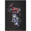 Super Robot Chogokin Aquarion EVOL