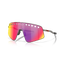 OAKLEY OO6025-03 Sutro ti sweep
