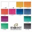 ชุดสีน้ำกล่องโลหะ Rembrandt 12สี พร้อมพู่กัน (Opaque White Mixing)