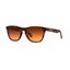 OAKLEY OO9245-D1 FROGSKINS (ASIA FIT)