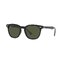 RayBan RB2298F 901/31 HAWKEYE