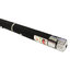 LASER เขียว (5mw)