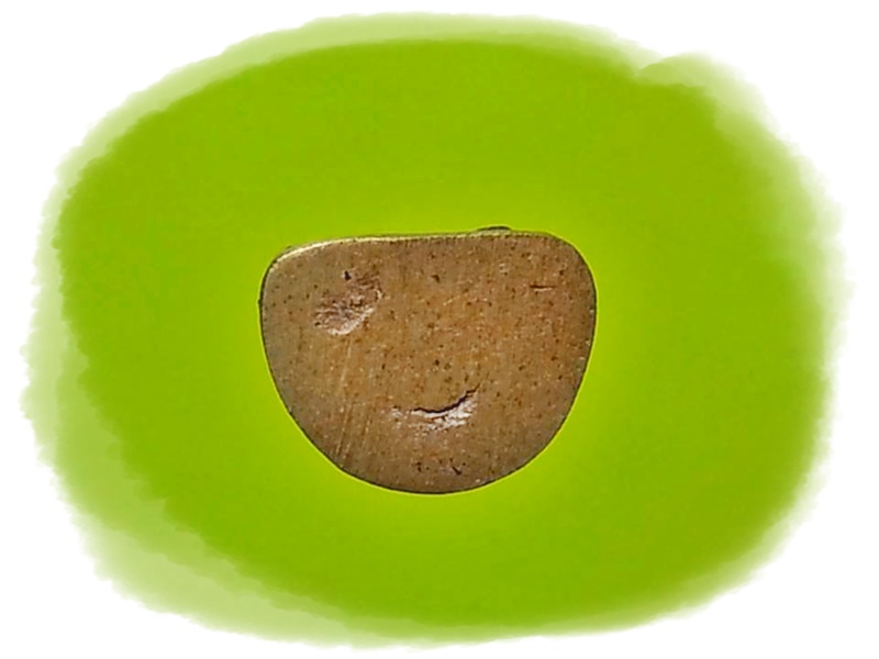 พระกริ่ง-พระชัยวัฒน์โพธิสัตโต รุ่นสร้างวิหาร เนื้อสัมฤทธิ์กายสิทธิ์ ปี 2535 วัดทรายขาว จ.ปัตตานี