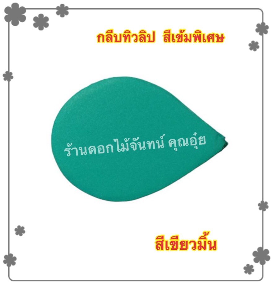 กลีบดอกทิวลิป สีเขียวมิ้น