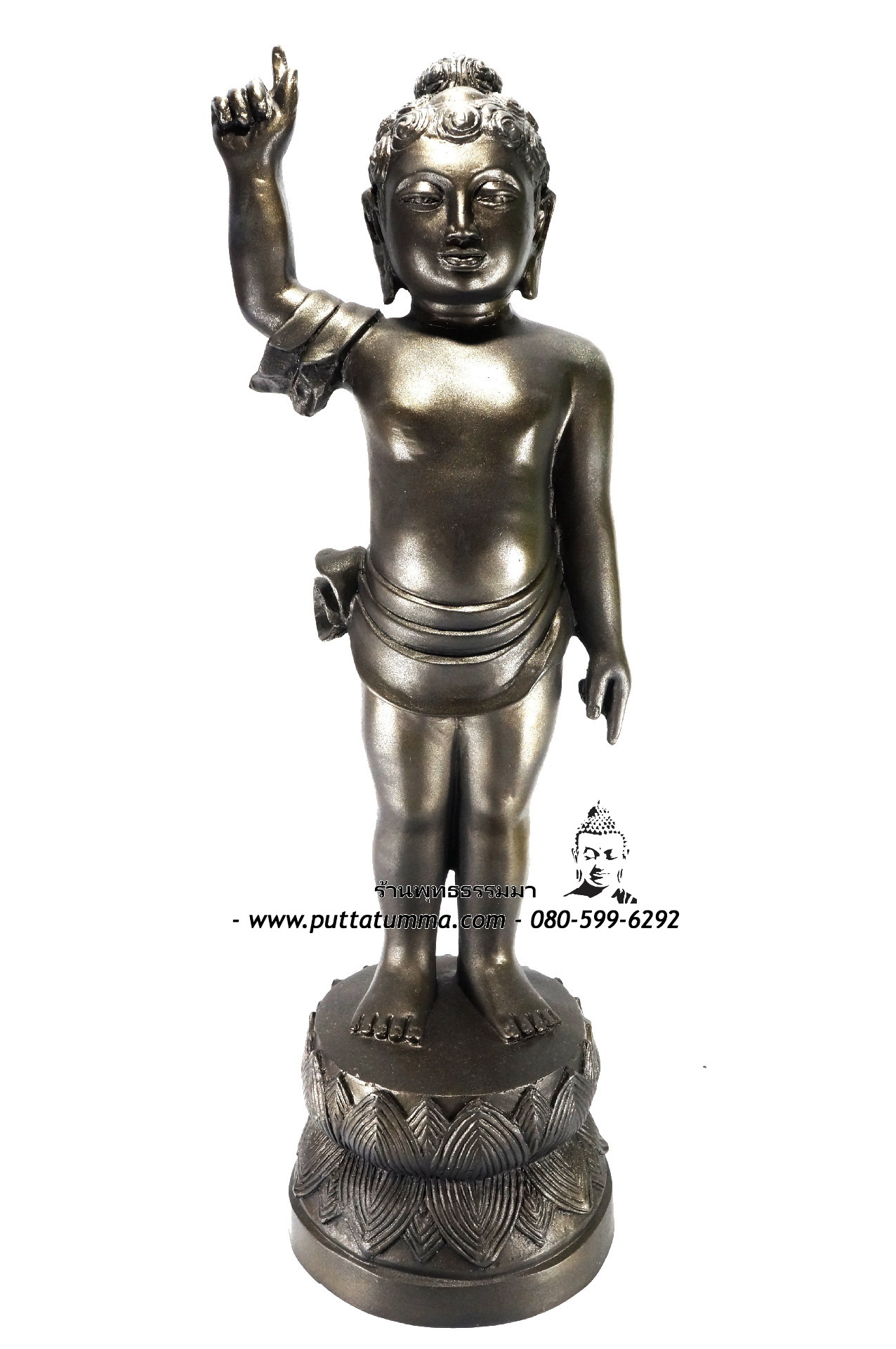 พระพุทธเจ้าน้อย ( ประสูติ) เนื้อโลหะ ขนาด 12 นิ้ว สูง 25 นิ้ว