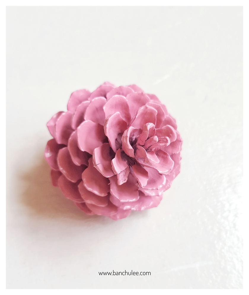 Colorful Pine Cone ลูกสนธรรมชาติ พ่นสี