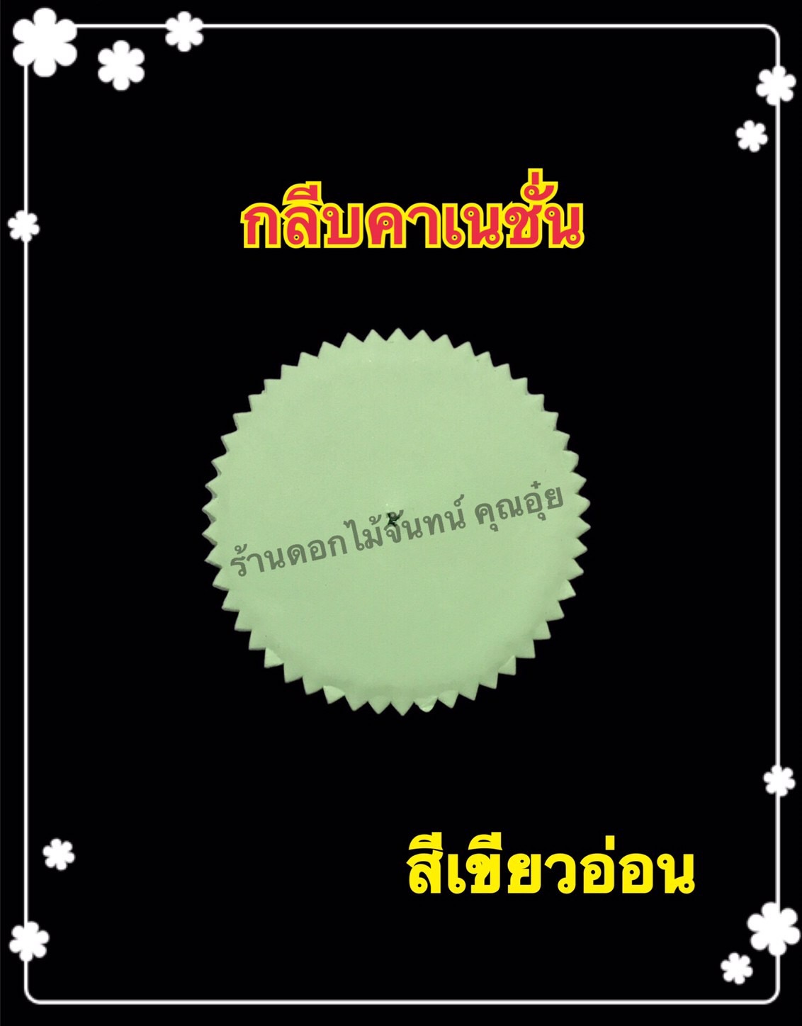 กลีบคาร์เนชั่น สีเขียวอ่อน