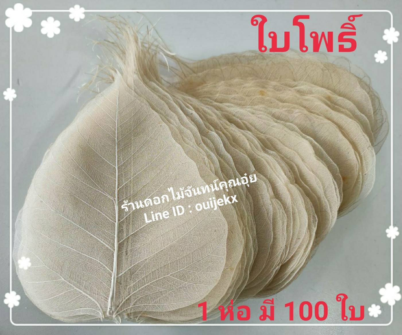 ใบโพธิ์