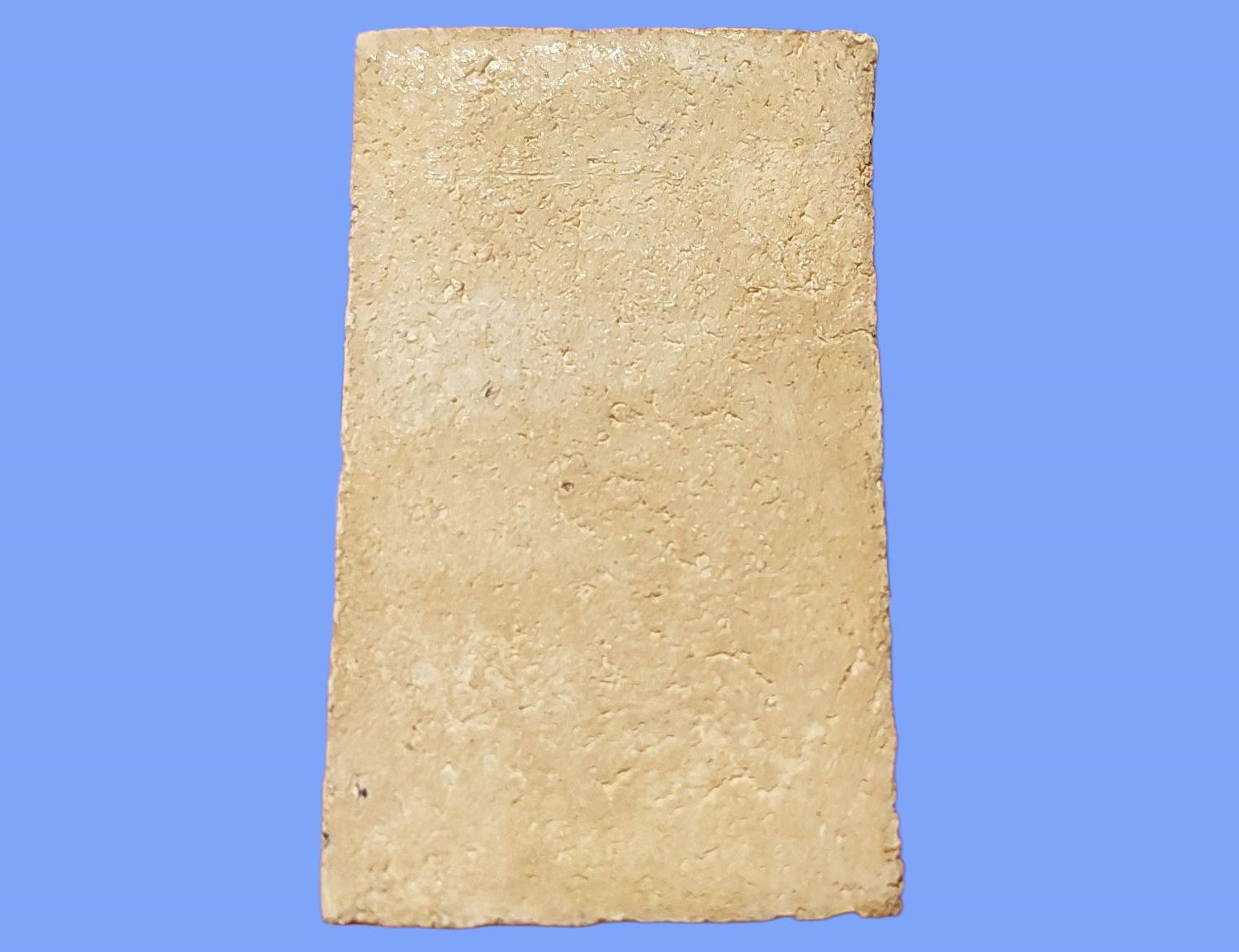 พระสมเด็จ หลวงปู่ภู วัดเกาะ จ.ราชบุรี พิมพ์ 7 ชั้น หูติ่ง เนื้อผง