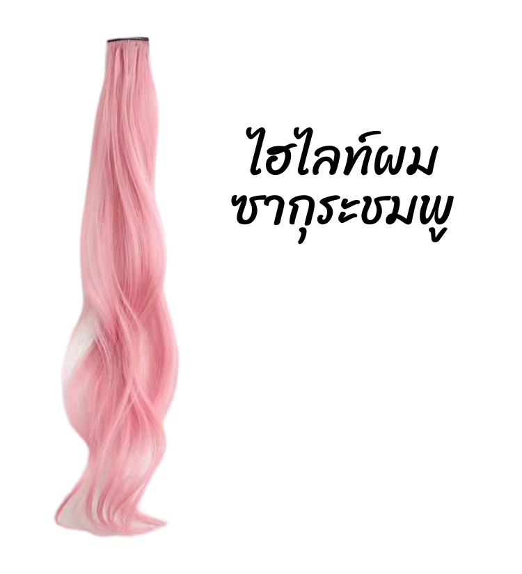 พร้อมส่ง กิ๊บติดผม ไฮไลท์สีผมเด็ก เปียผม เปียถักร้อย