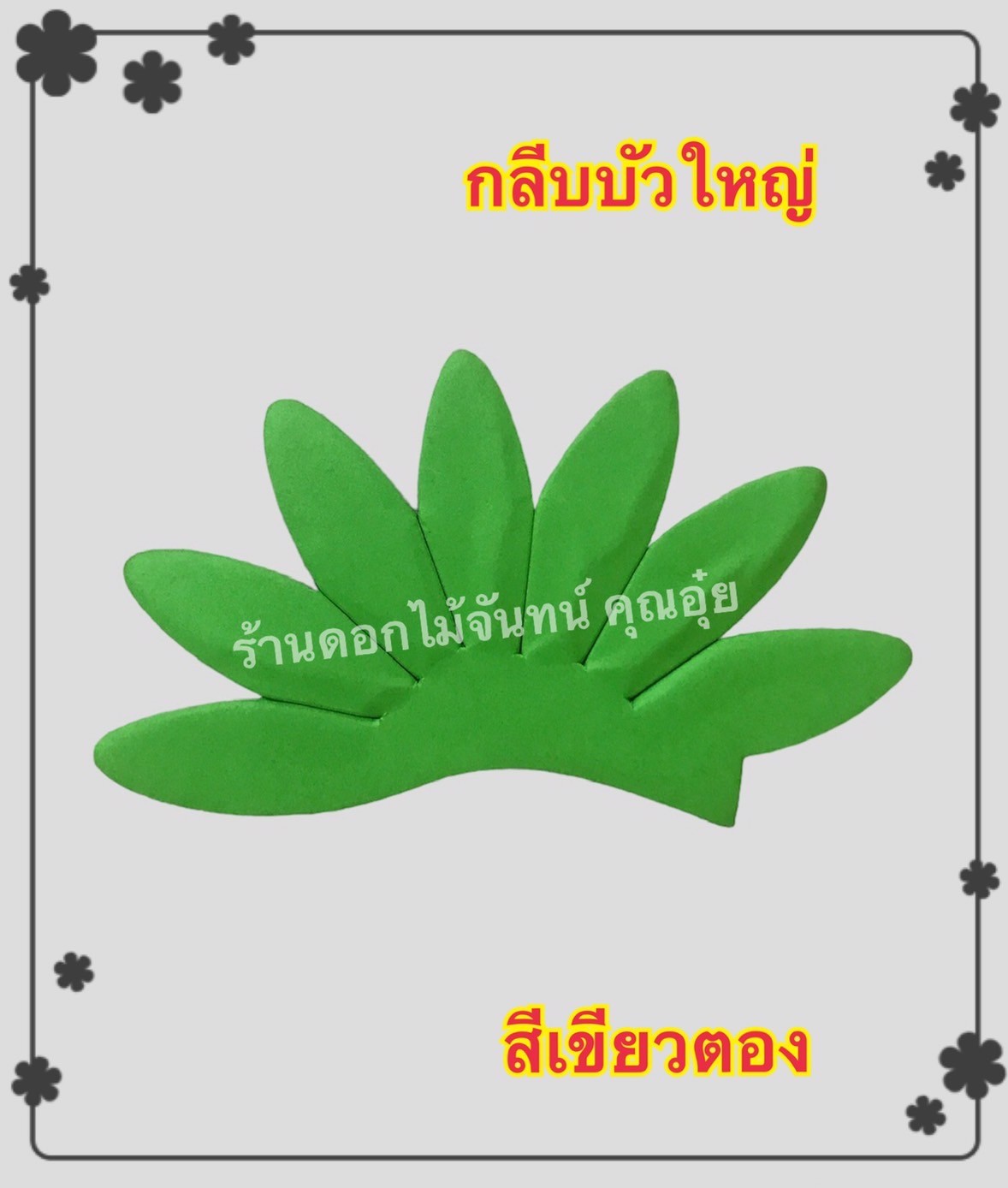 กลีบบัวใหญ่ สีเขียวตอง