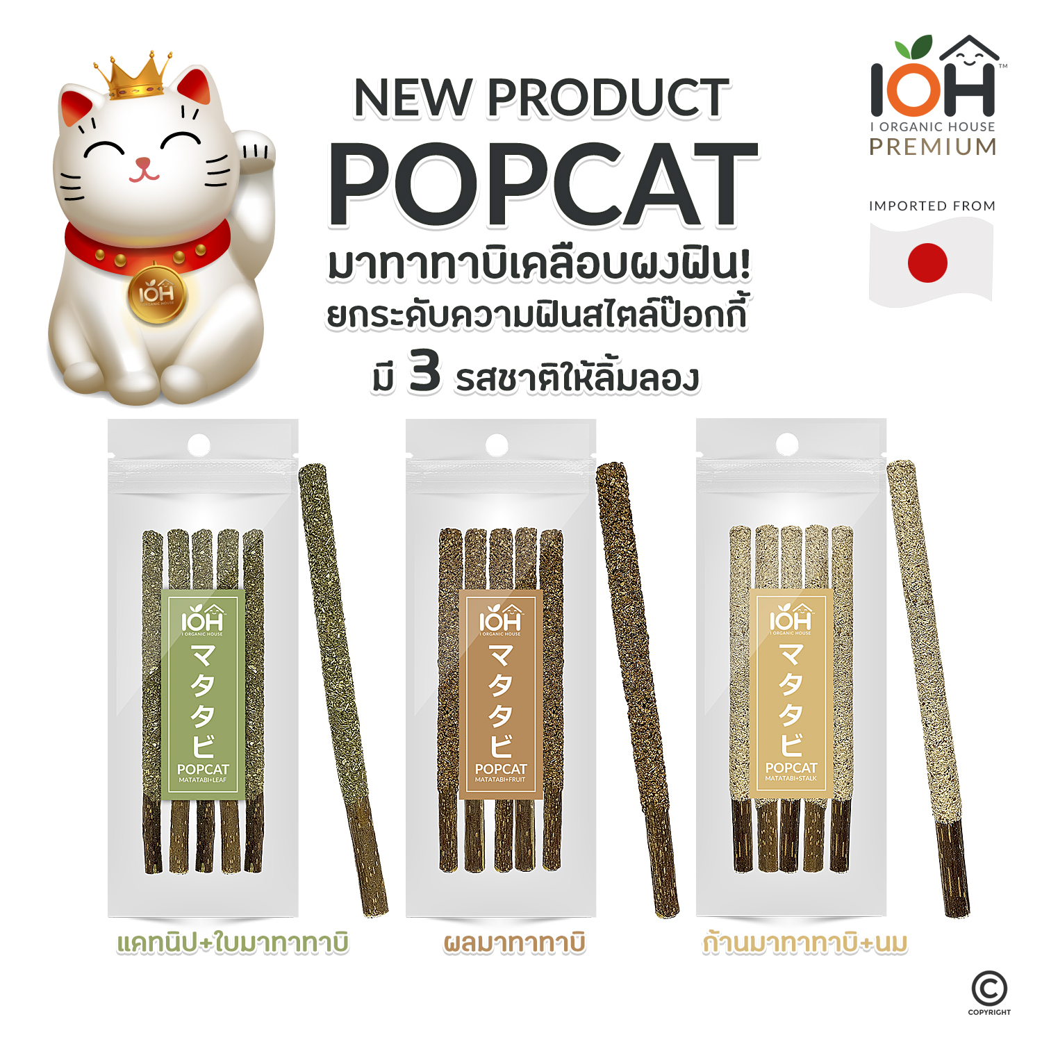 IOH POPCAT ไม้มาทาทาบิเคลือบแคทนิป ป๊อกกี้แมว ไม้ขัดฟันแมว (พร้อมส่ง)