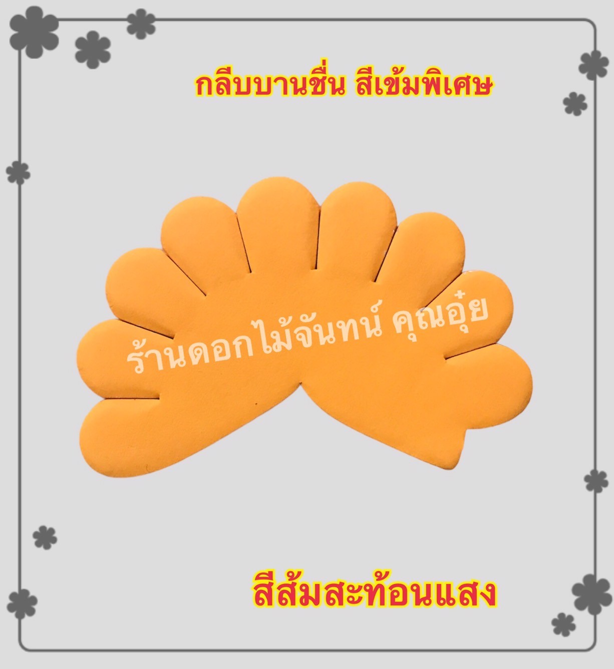 กลีบบานชื่น สีส้มสะท้อนแสง