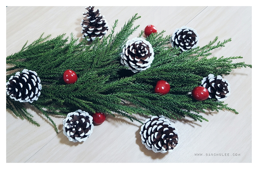 Snow Pine Cone ลูกสนธรรมชาติ สีน้ำตาลเข้ม แต้มขอบปีกด้วยสีขาว