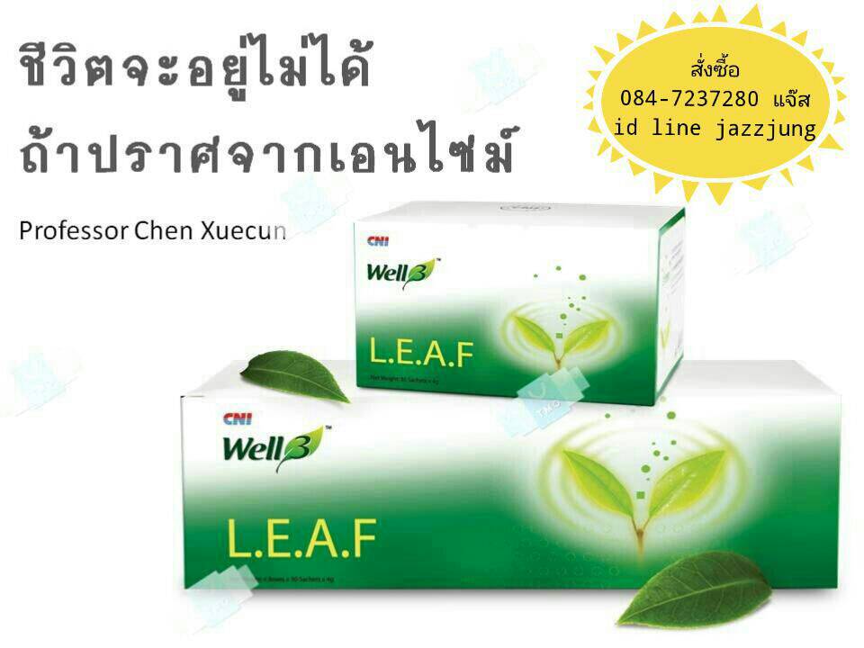 เอนไซม์ Enzyme