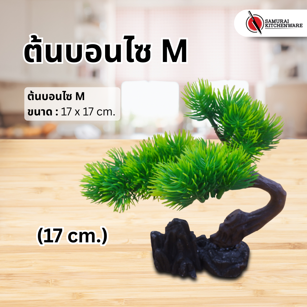ต้นบอนไซ M (17 cm.)