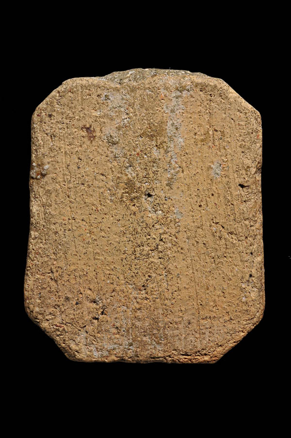 หลวงพ่อปาน โสนันโทเถระ วัดบางนมโค จ.พระนครศรีอยุธยา