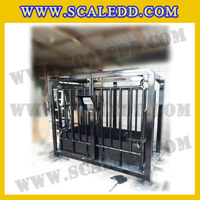 เครื่องชั่งวัวแบบกรง เครื่องชั่งวัว2000kg เครื่องชั่งสัตว์2ตัน เครื่องชั่งกรงสัตว์ เครื่องชั่งน้ำหนัก2000kg ตาชั่งวัว2ตัน ตาชั่งน้ำหนักวัว เครื่องชั่งวัวแบบดิจิตอล เครื่องชั่งยี่ห้อ Dynaweight รุ่น DW218