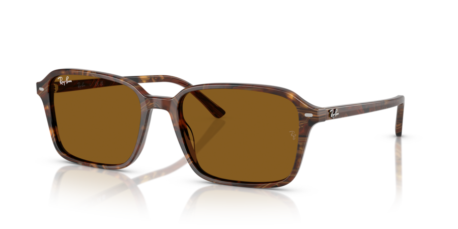 RayBan RB2231F 141833 Raimond
