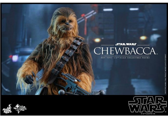 HOTTOYS - Star Wars The Force Awakens - Han Solo & Chewbacca Set