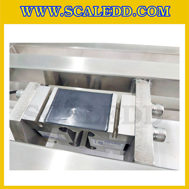 เครื่องชั่งดิจิตอลกันระเบิด XK3150 Explosion Proof Scales เครื่องชั่งน้ำหนัก500kg เครื่องชั่งดิจิตอล500kg ตาชั่งดิจิตอล500กิโลกรัม เครื่องชั่งดิจิตอลกันระเบิด500kg พิกัดน้ำหนัก500kg ค่าละเอียด 50g ขนาดแท่นชั่ง 60x70cm. ยี่ห้อ LOCOSC รุ่น XK3150-EX