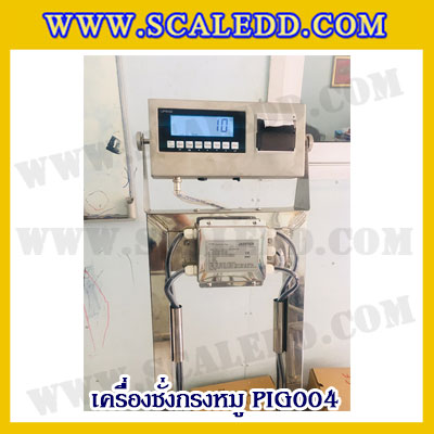 เครื่องชั่งหมูแบบกรงสแตนเลสพร้อมล้อเลื่อน built in printer ยี่ห้อ SDS รุ่น IDS701-PLCD พิกัด 300kg ความละเอียด 100g