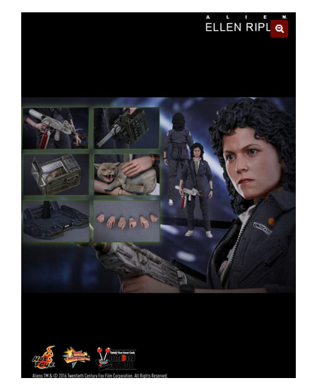 HOTTOYS - Alien - Ellen Ripley (Classic)