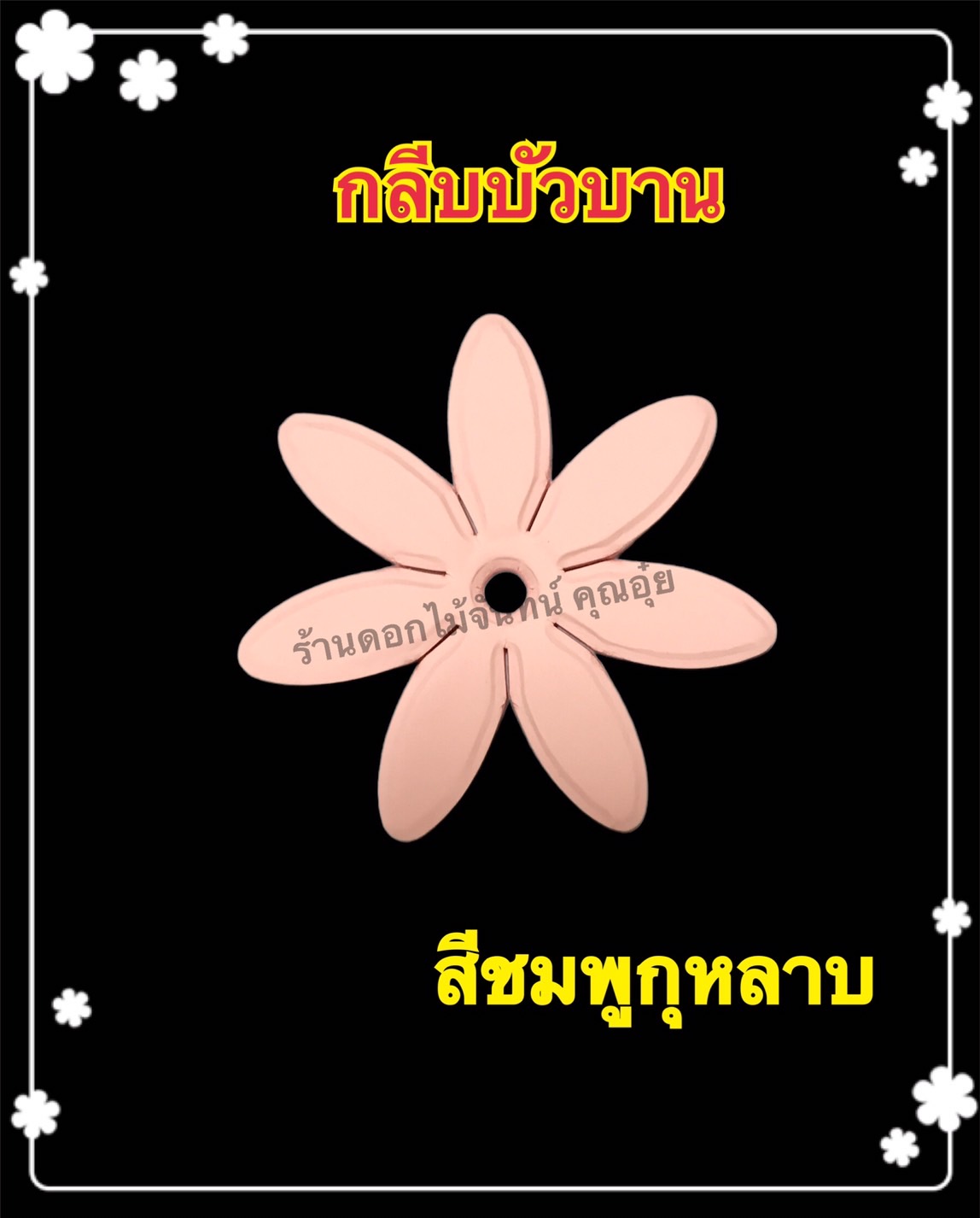 กลีบบัวบาน สีชมพูกุหลาบ
