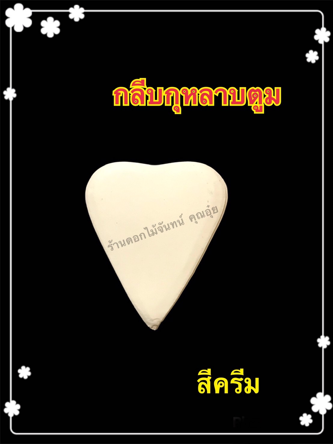 กลีบกุหลาบตูม สีครีม