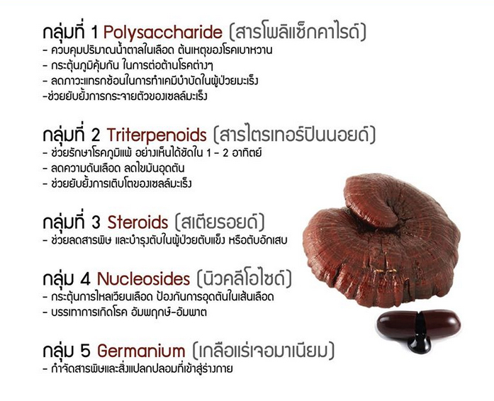 คุณประโยชน์ของ เห็ดหลินจือแดงกัด หลินจือมิน ราชาแห่งสมุนไพร