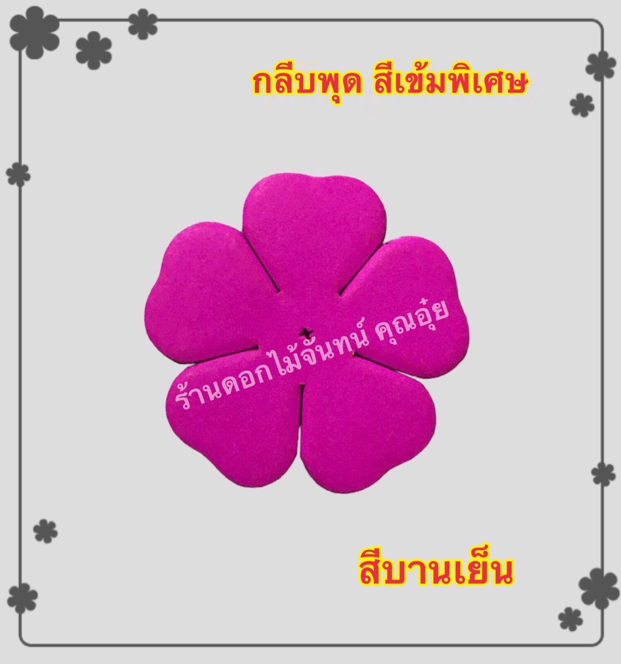 กลีบพุด สีบานเย็น