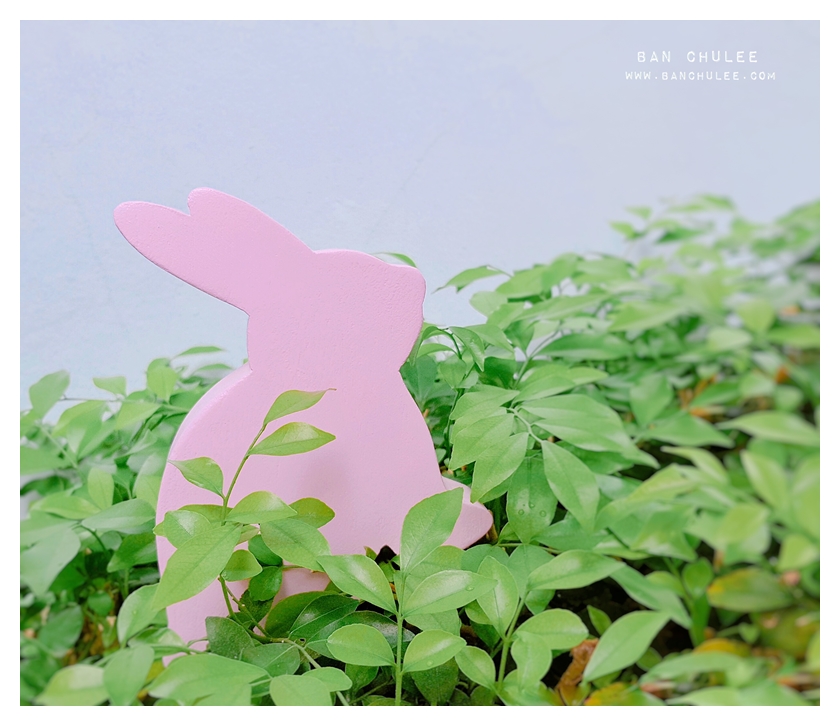 Wooden Bunny - Spring Beauty