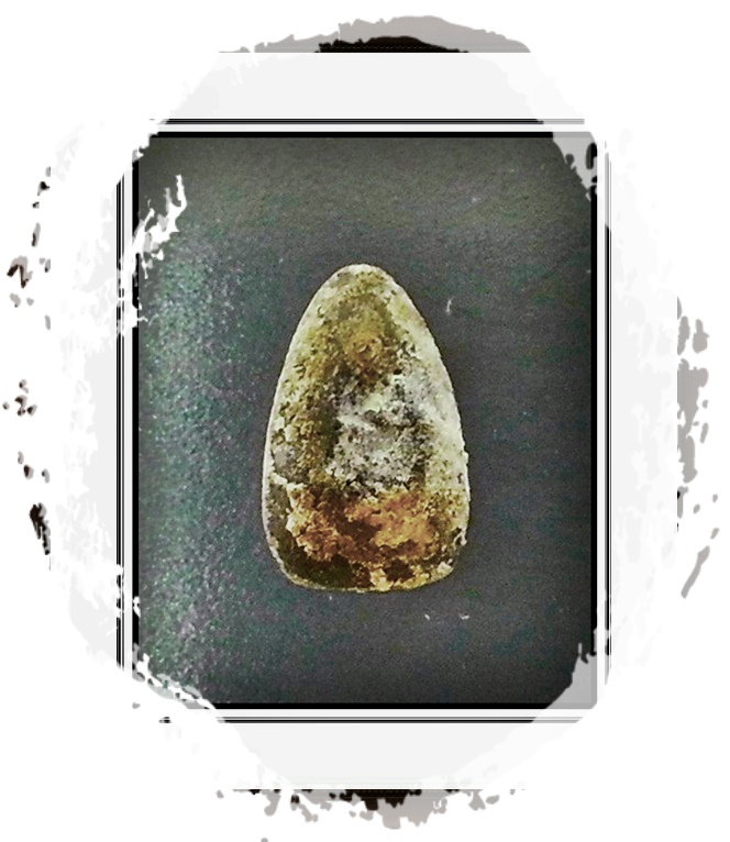 พระเม็ดน้อยหน่า จ.อยุธยา