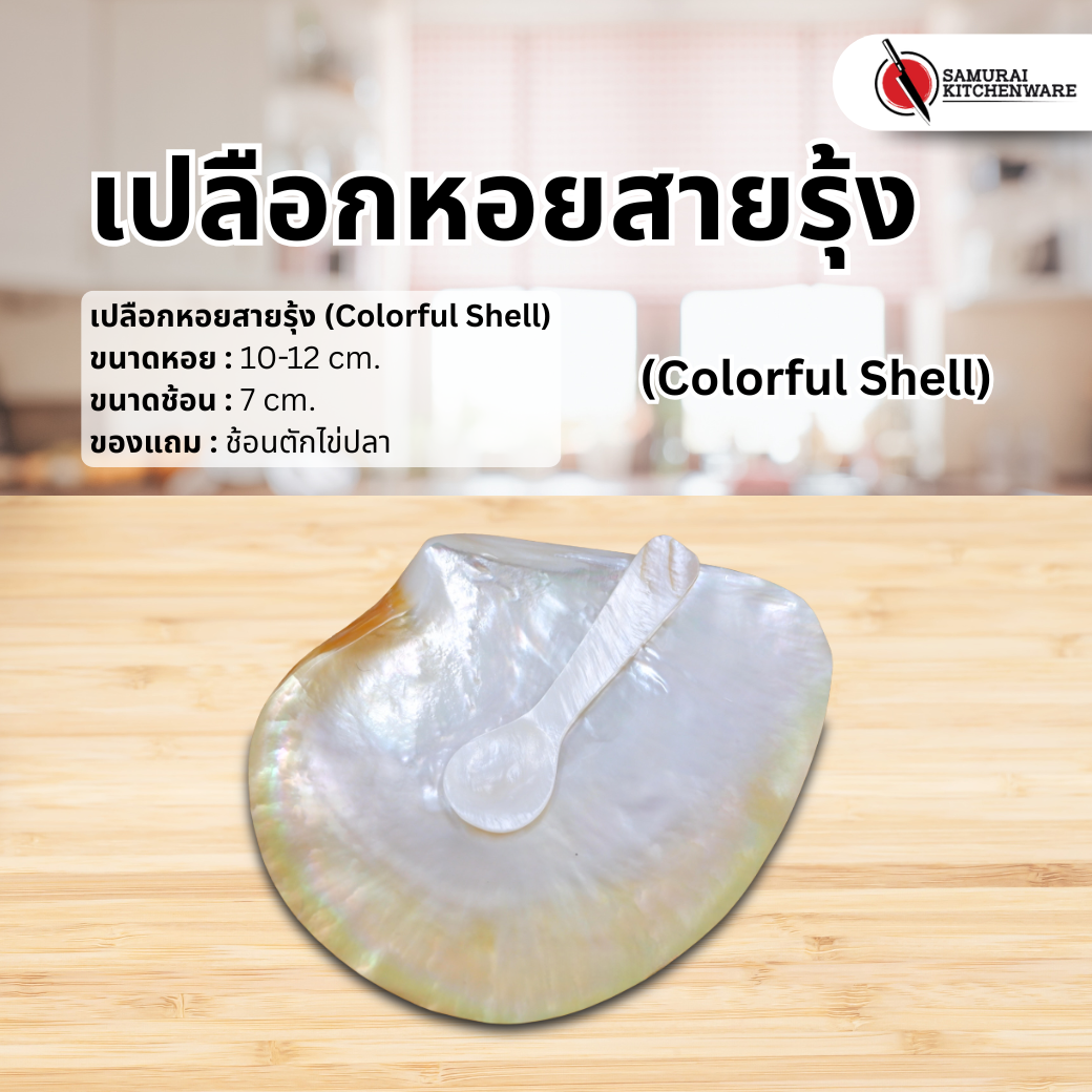 เปลือกหอยสายรุ้ง (Colorful Shell)