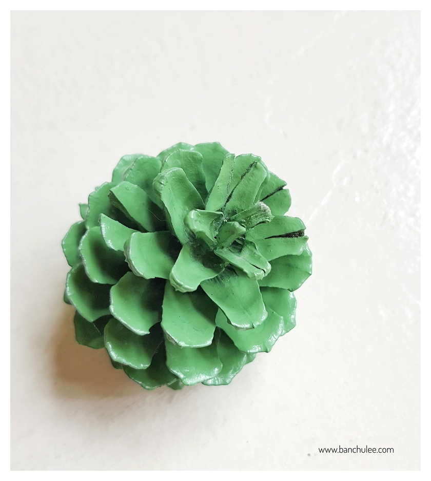 Colorful Pine Cone ลูกสนธรรมชาติ พ่นสี