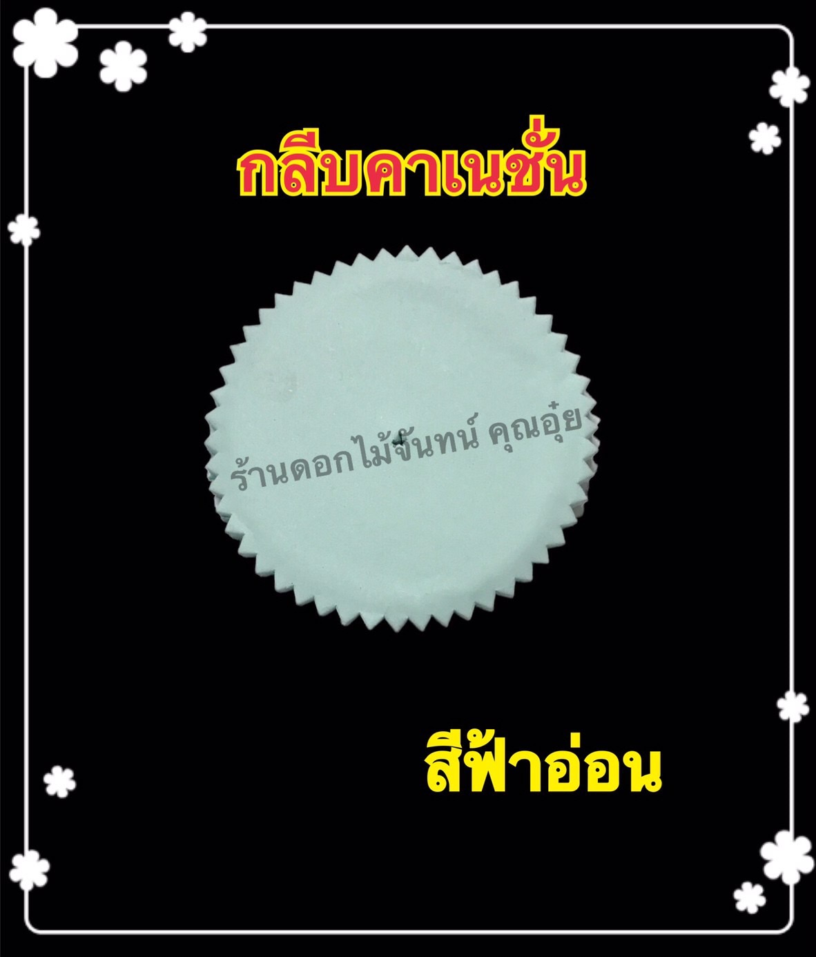กลีบคาร์เนชั่น สีฟ้าอ่อน