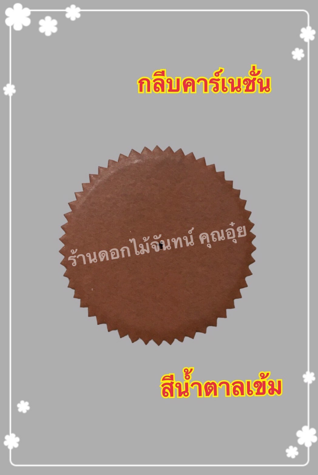 กลีบคาเนชั่น สีน้ำตาลเข้ม