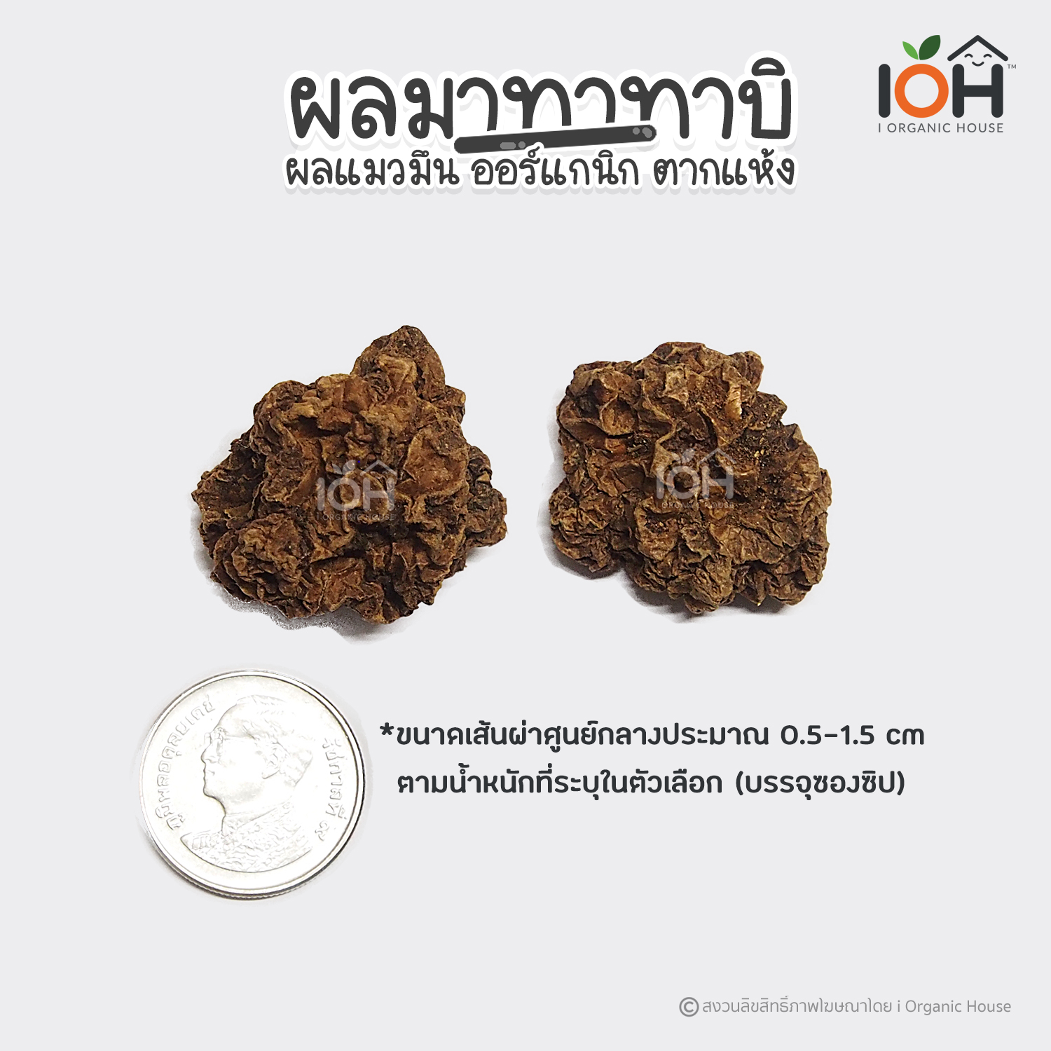 IOH ผลมาทาทาบิสด ตากแห้ง ออร์แกนิค 100% ของเล่นแมว สำหรับน้องแมว (พร้อมส่ง)